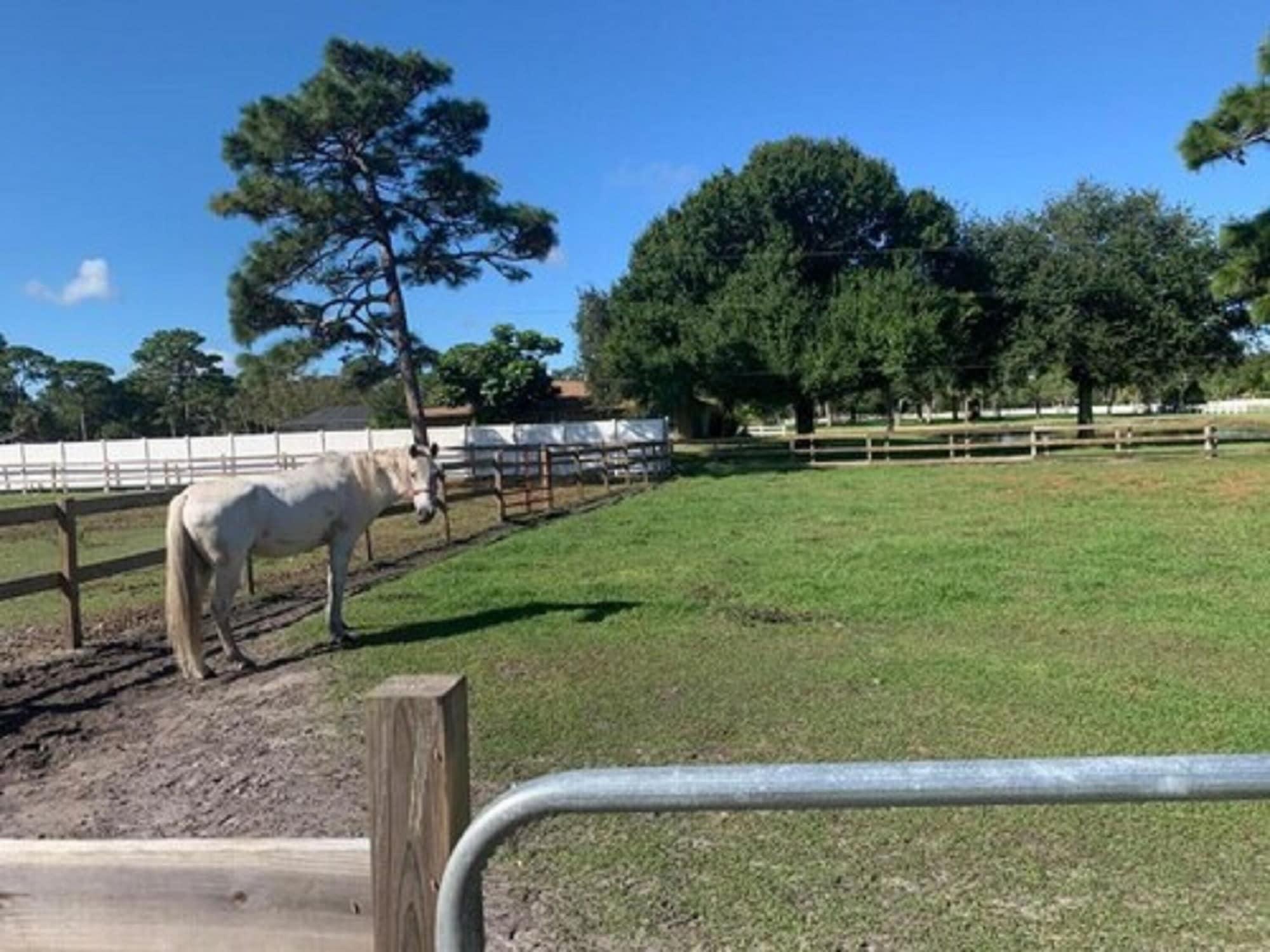 Oyo Family Ranch At Melbourne Fl Hotel Eksteriør billede